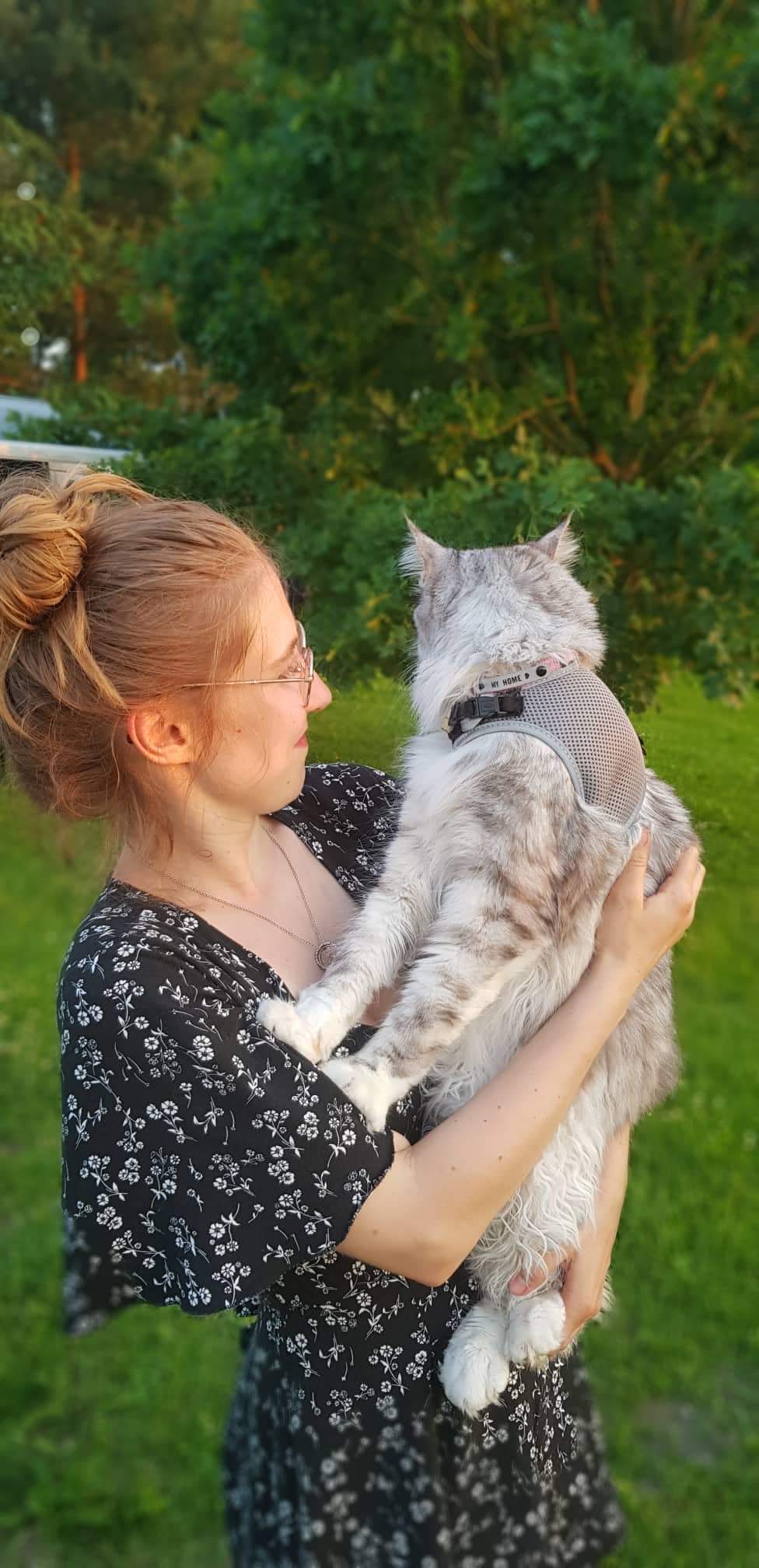 Wenn Dinah nicht will